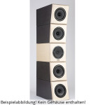 Visaton PENTATON BB Speaker Kit