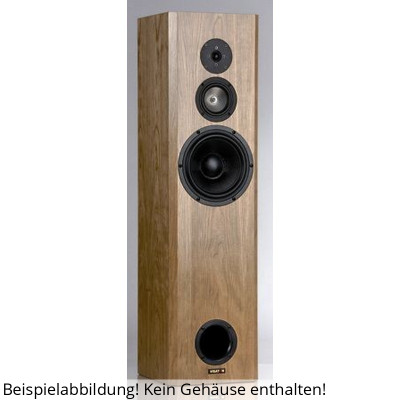 Visaton Kit de altavoz CLASSIC 200 GF