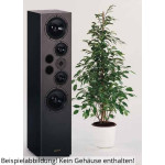 Visaton EXPERIENCE V 20 Lautsprecherbausatz