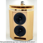 Visaton MONITOR 890 MK III Speaker Kit