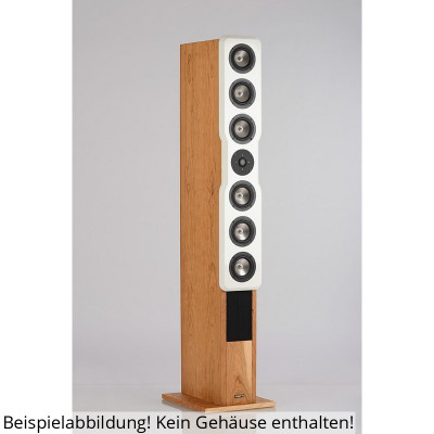 Visaton TRINITI speaker kit