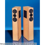 Visaton Kit de altavoces VOX 80