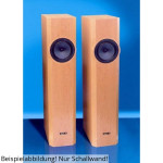 Visaton SOLO 100 sound wall