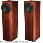 Visaton SOLO 50 sound wall