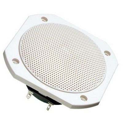 Visaton FRS 10 WP - 8 Ohm (white)