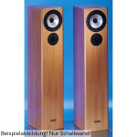 Visaton VIB 170 AL sound wall