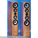 Visaton MK III mur sonore