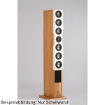 Visaton TRINITI Schallwand