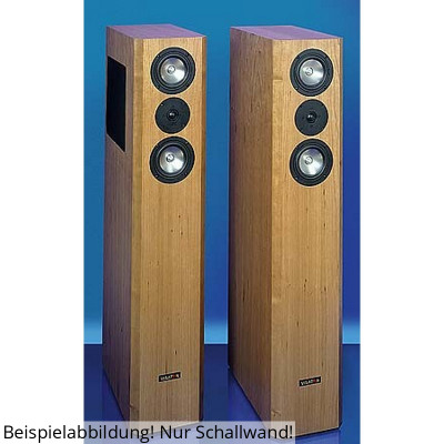 Visaton VOX 200 pared sonora