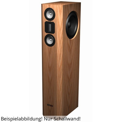 Visaton VOX 253 MTI Schallwand
