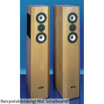 Visaton VOX 301 Schallwand