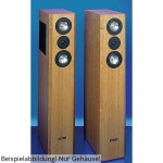 Visaton VOX 200 sound wall