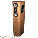 Visaton VOX 253 MHT Gehäusebausatz