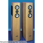 Visaton VOX 301 pared sonora