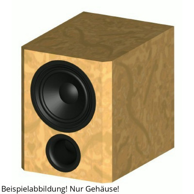 Visaton SUB W-20.39 baffle