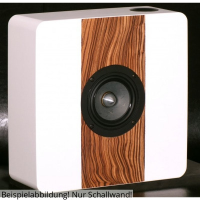 BPA mediWall 1320 sound wall