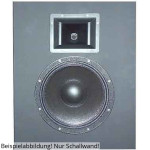 BPA Greenwood Heimkino Lautsprecher Schallwand