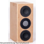 BPA Loki 1797 mur sonore