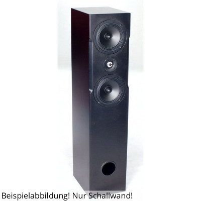 BPA Spirit 5 Black FAST sound wall