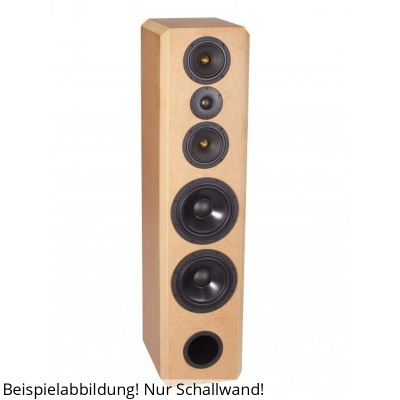 BPA Typus Exclusive Beryllium Schallwand
