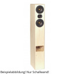 BPA Hobby Hifi Dschinn-TL Schallwand