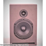 BPA Omnes Audio Shorty 2016