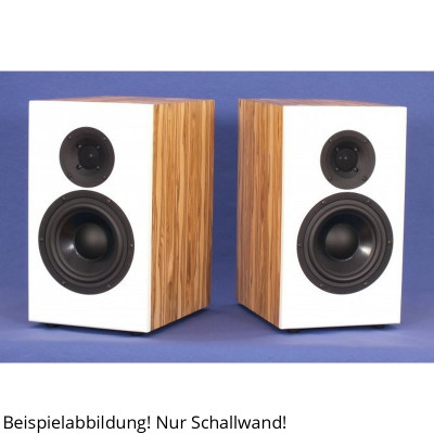 BPA Omnes Audio DXT Exclusive6 Schallwand