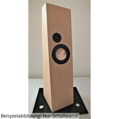BPA Omnes Audio TekLine sound wall