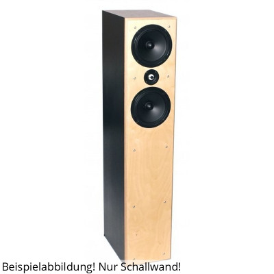 BPA Spirit 6 Black TML pared de sonido