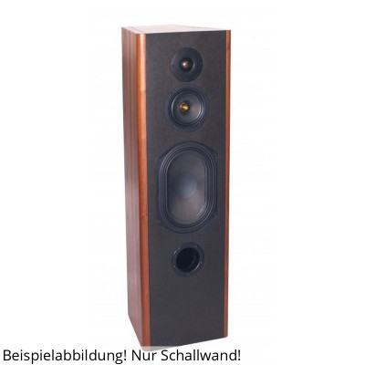 BPA Typus3 Evo-Beryllium sound wall