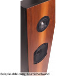 Sonido BPA + sonido CT217 MKII pared de sonido