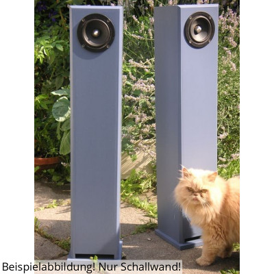 BPA Cyburgs Pareja pared de sonido