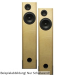 BPA cousins F.A.S.T. Muro de sonido MK III