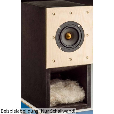 BPA Truco barato 256 con la pared de sonido W4-655