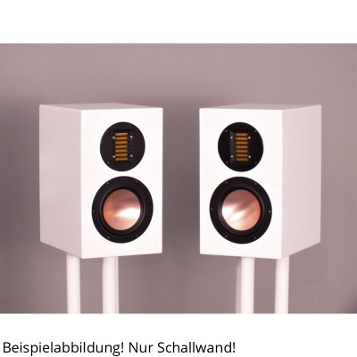 BPA Omnes Audio Luna AMT Schallwand