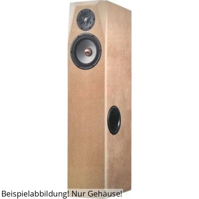 Hobby HiFi Audimax Floorstand BE Gehäusebausatz