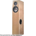 Hobby HiFi Audimax Floorstand BE Housing Kit