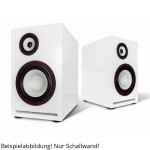 BPA Exclusive 8AL Monitor Schallwand