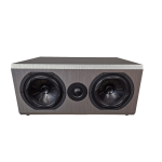 Altavoz del centro